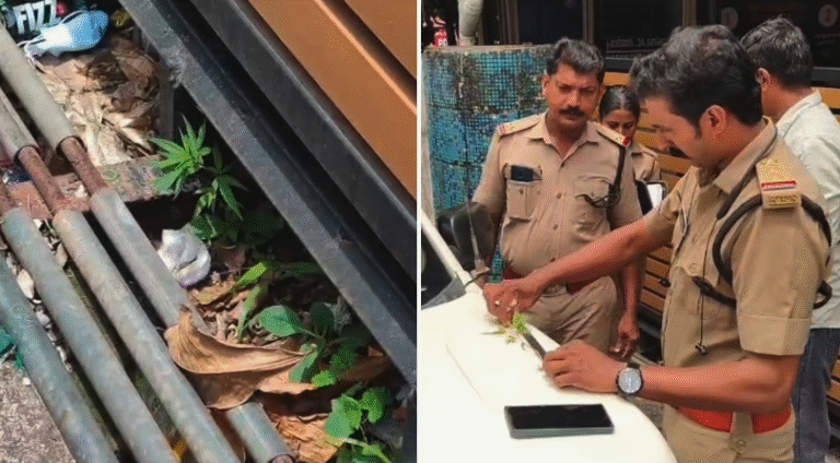 Screen Shot 2026-04-18 at 1.27.58 PM