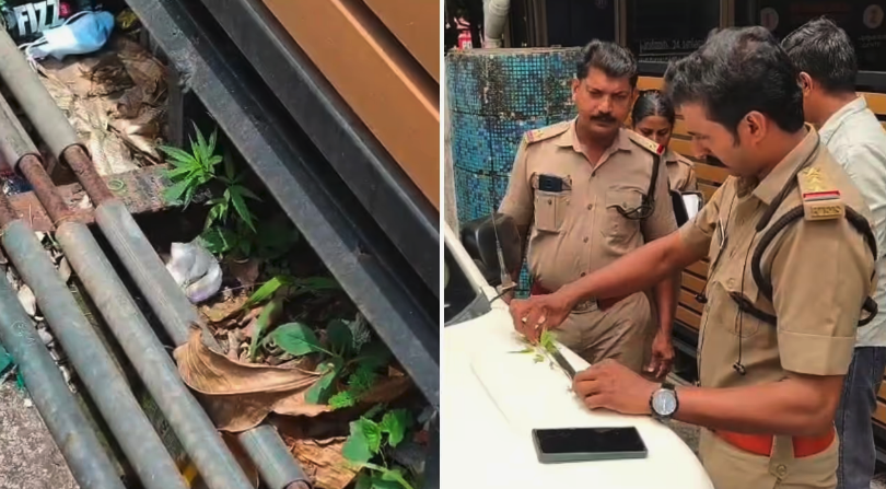 Screen Shot 2026-04-18 at 1.27.58 PM