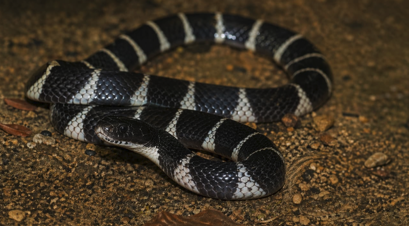 Screen Shot 2026-04-22 at 12.37.18 PM