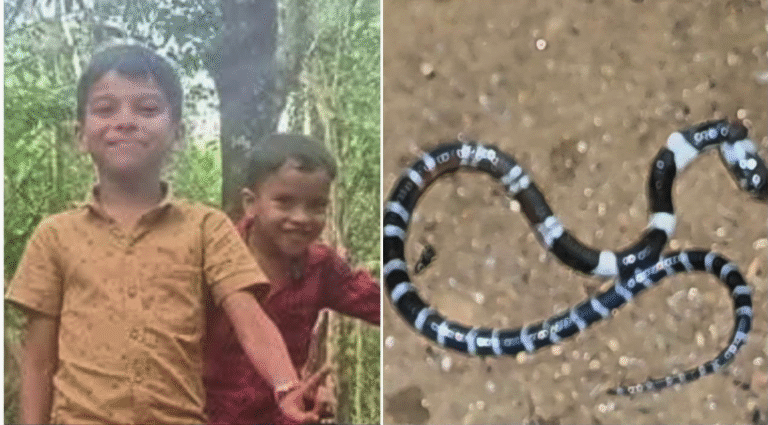 Screen Shot 2026-04-23 at 11.20.17 AM