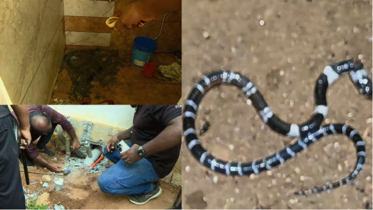 Screen Shot 2026-04-24 at 12.20.08 PM