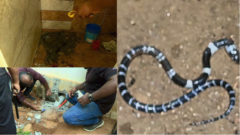 Screen Shot 2026-04-24 at 12.20.08 PM