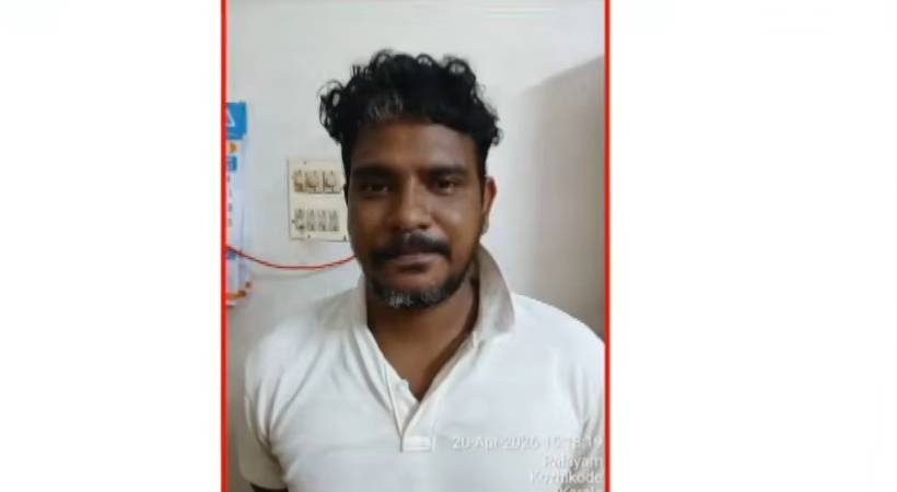 Train-stone-pellet-case