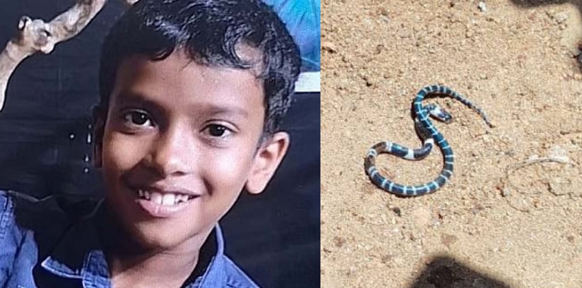 nm-2026-04-20T135636.059