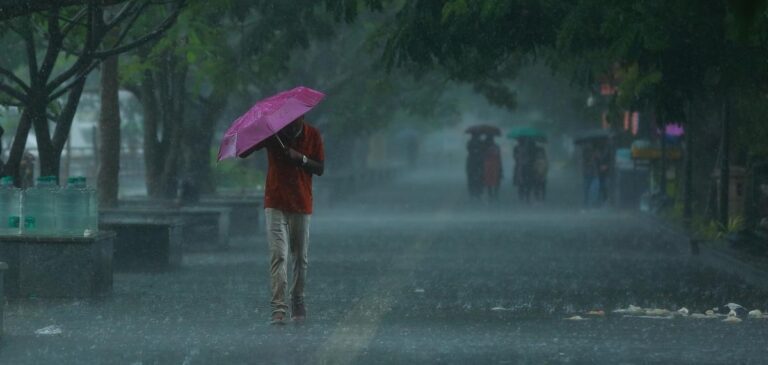 rain