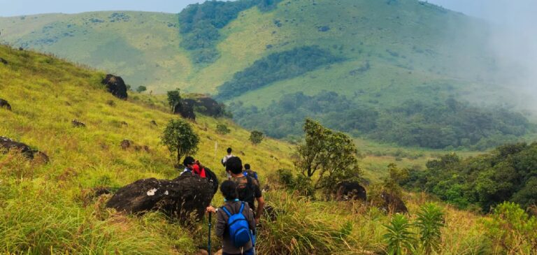 thadiyandamol-trekking