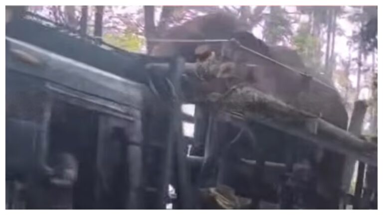 w-1280,h-720,croprect-1x0x1278x719,imgid-01kn92b3v6m7hbpft8hq081z8m,imgname-mixcollage-03-apr-2026-12-29-pm-6159-1775199686502