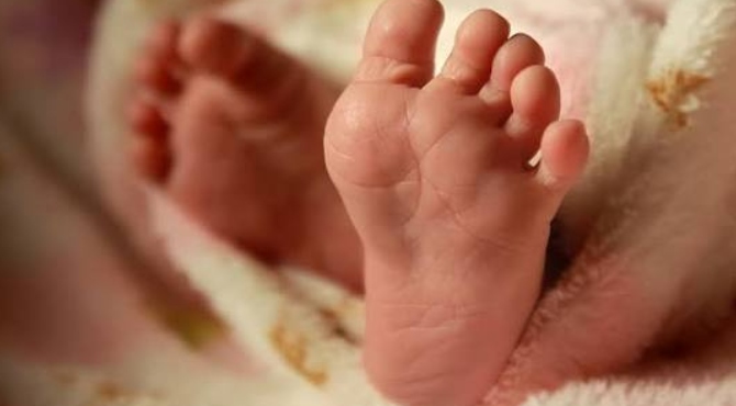 newborn