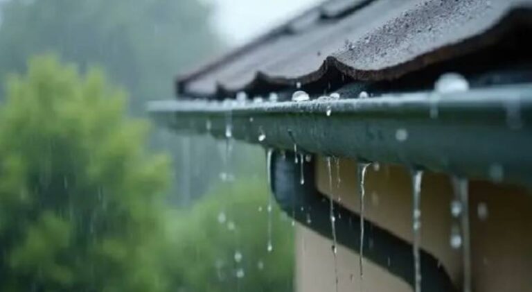 rain-alert