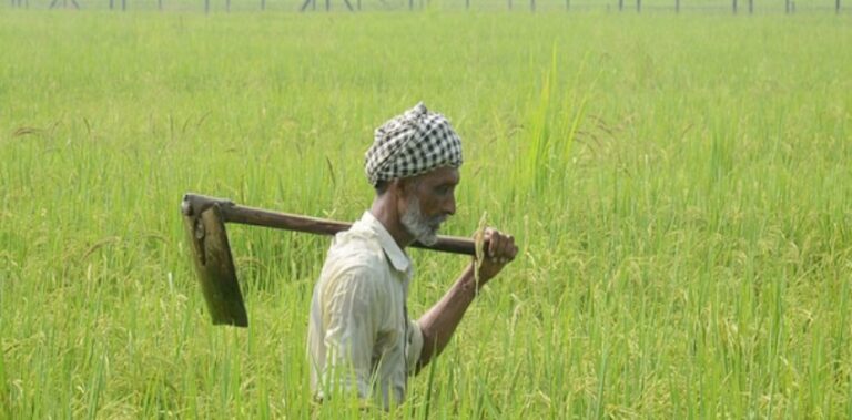 farmers