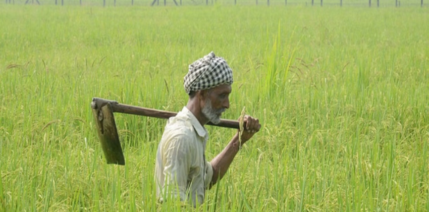 farmers