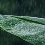 kerala-rain-alert