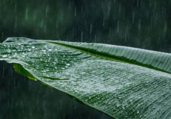 kerala-rain-alert