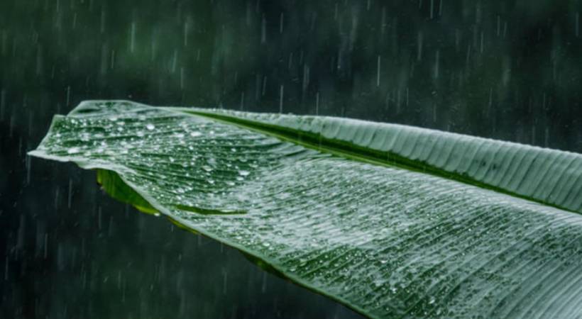 kerala-rain-alert