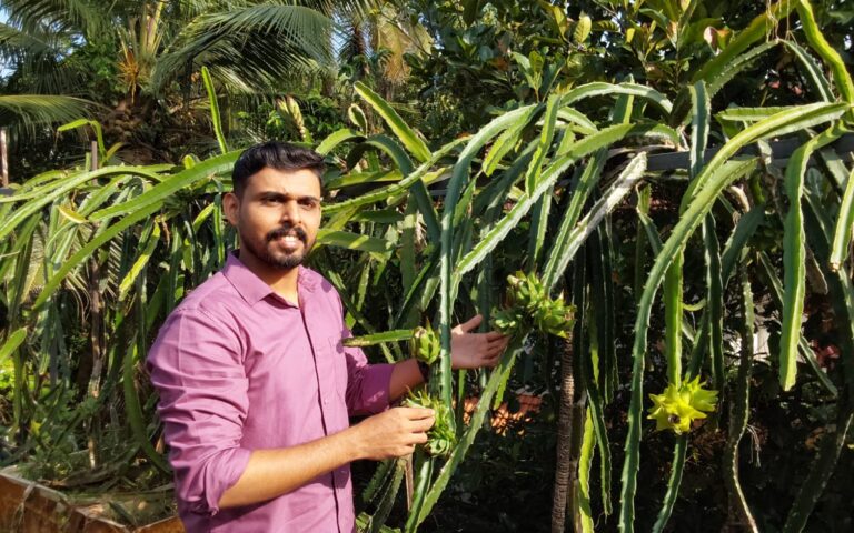 WhatsApp Image 2026-09-05 at 11.05.10 AM