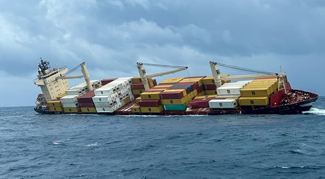 msc-elsa-3