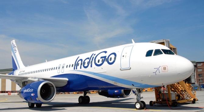 indigo-1