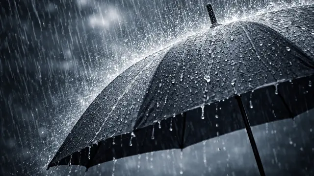 rainalert-1775390628799-76ede278-f1d9-4d11-8eb3-8489d67c9388-640x360